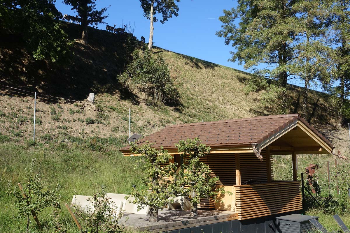 Sauna / Hirschen Impressionen Roggegratbad